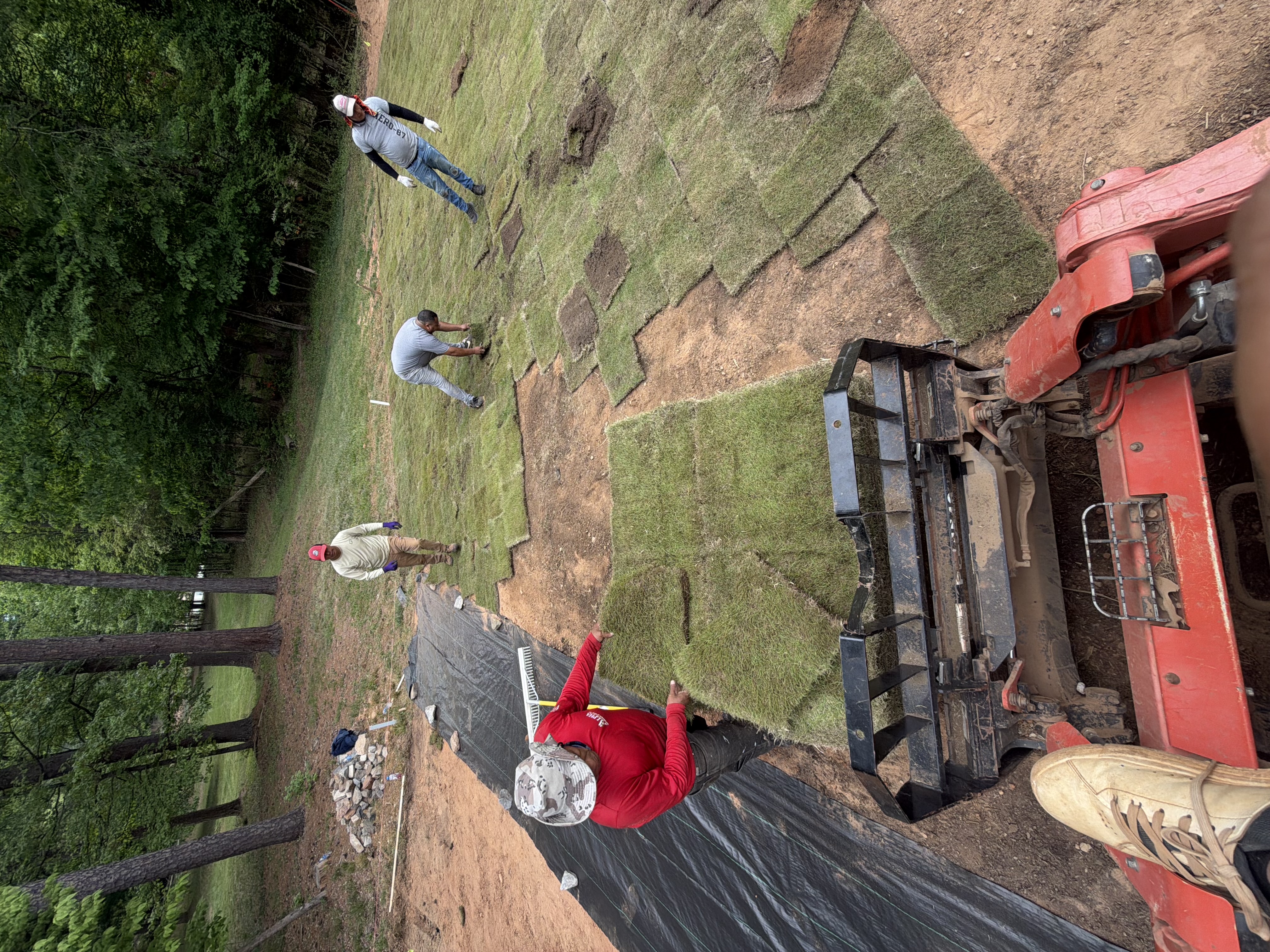 Crew laying sod backyard