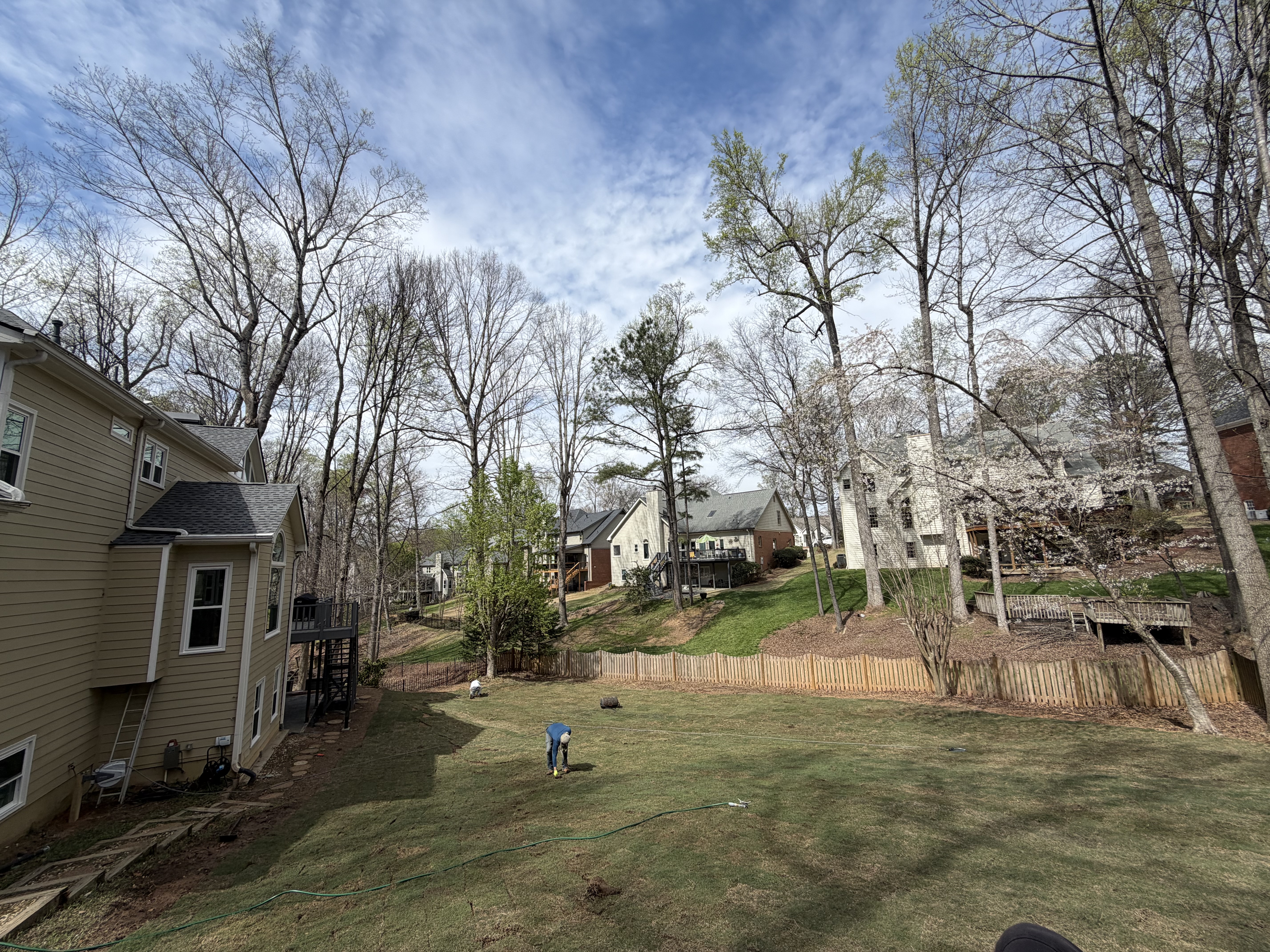 Front yard sod install