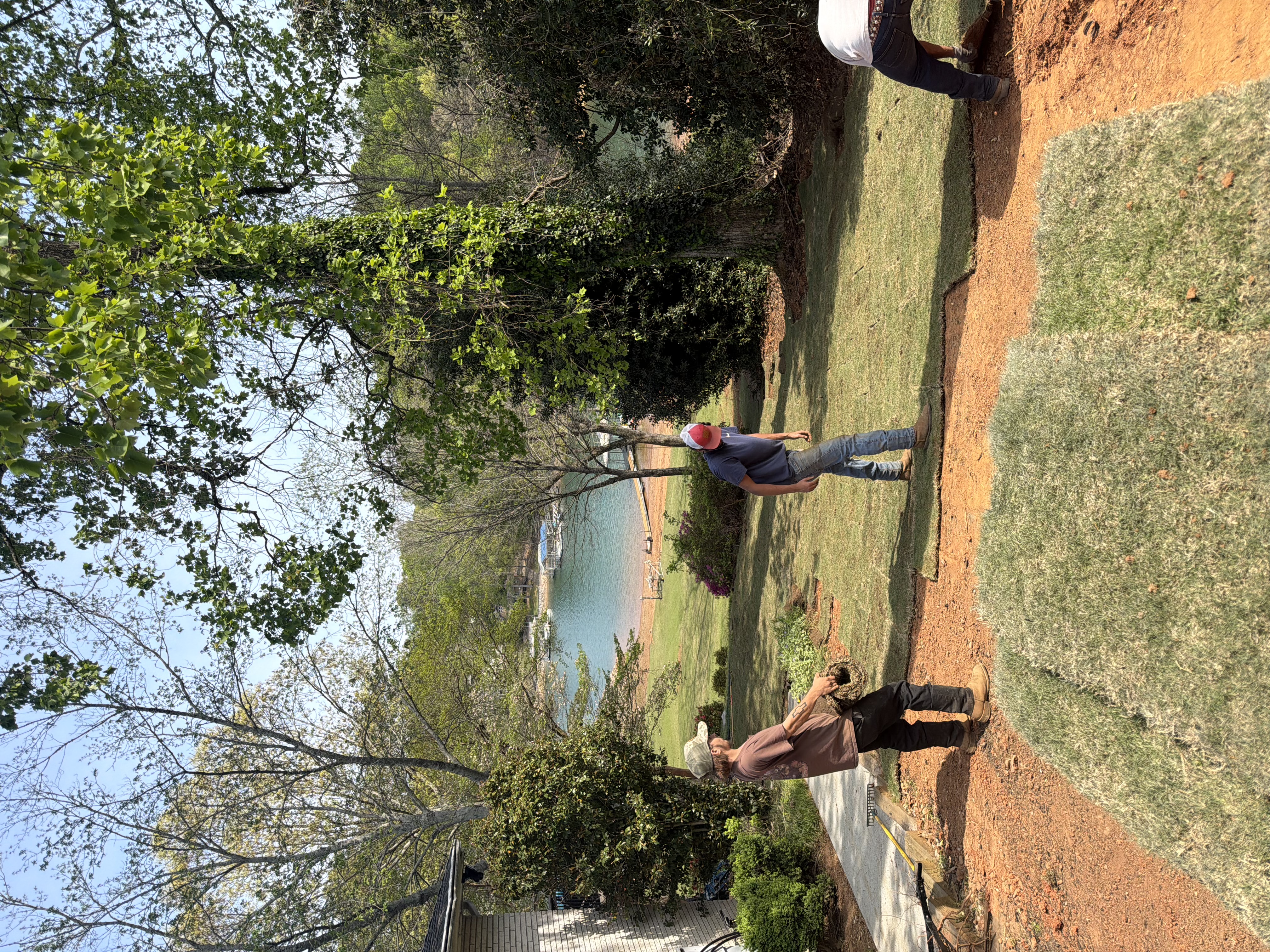Sod install in progress